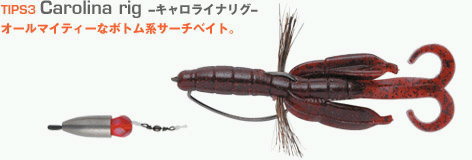 キャロライナリグ