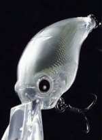 ボディデザイン