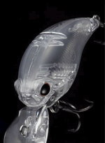 ボディデザイン