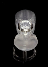 ボディデザイン