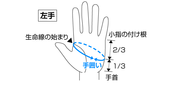 サイズの確認方法