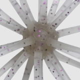 #242 エビダッピ