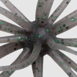 #243 たまらんばいダークシュリンプ