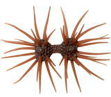 #S-357 スカッパノン