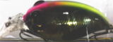 VISIBLE SL SHAD